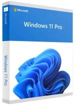 Windows 11 Professional Key